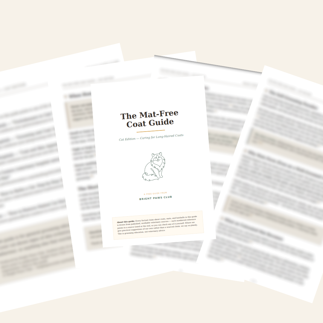 The 10-Second Ragdoll Checklist — Free Copy