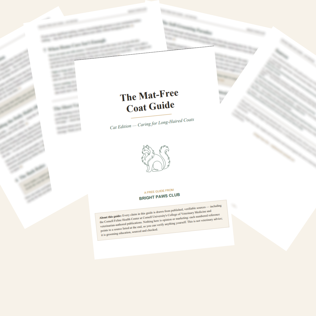 The Ragdoll Method — Brush + Checklist