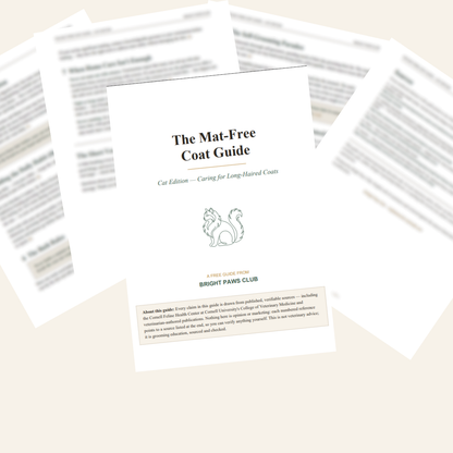 The Ragdoll Method — Brush + Checklist