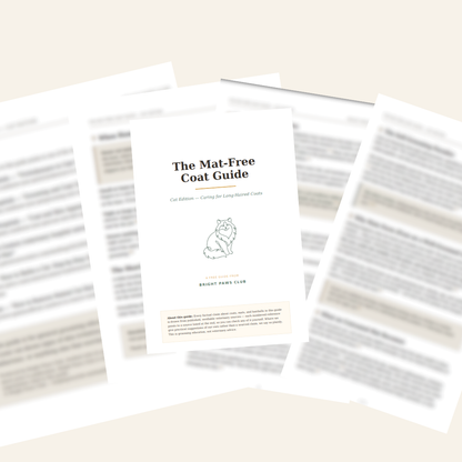The 10-Second Ragdoll Checklist — Free Copy