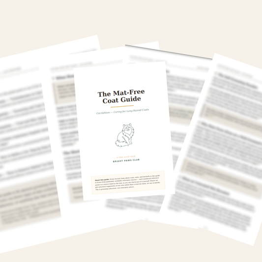The 10-Second Ragdoll Checklist — Free Copy