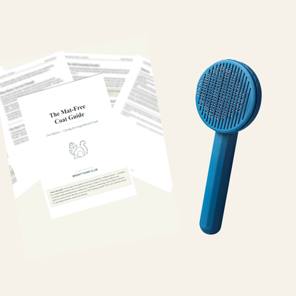 The Ragdoll Method — Brush + Checklist