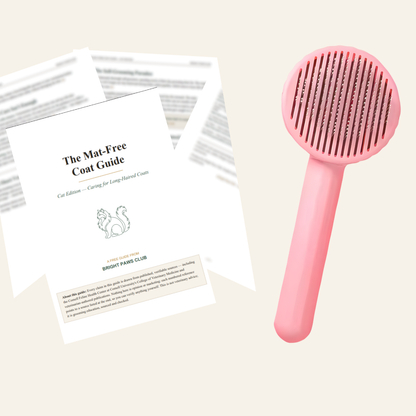 The Ragdoll Method — Brush + Checklist