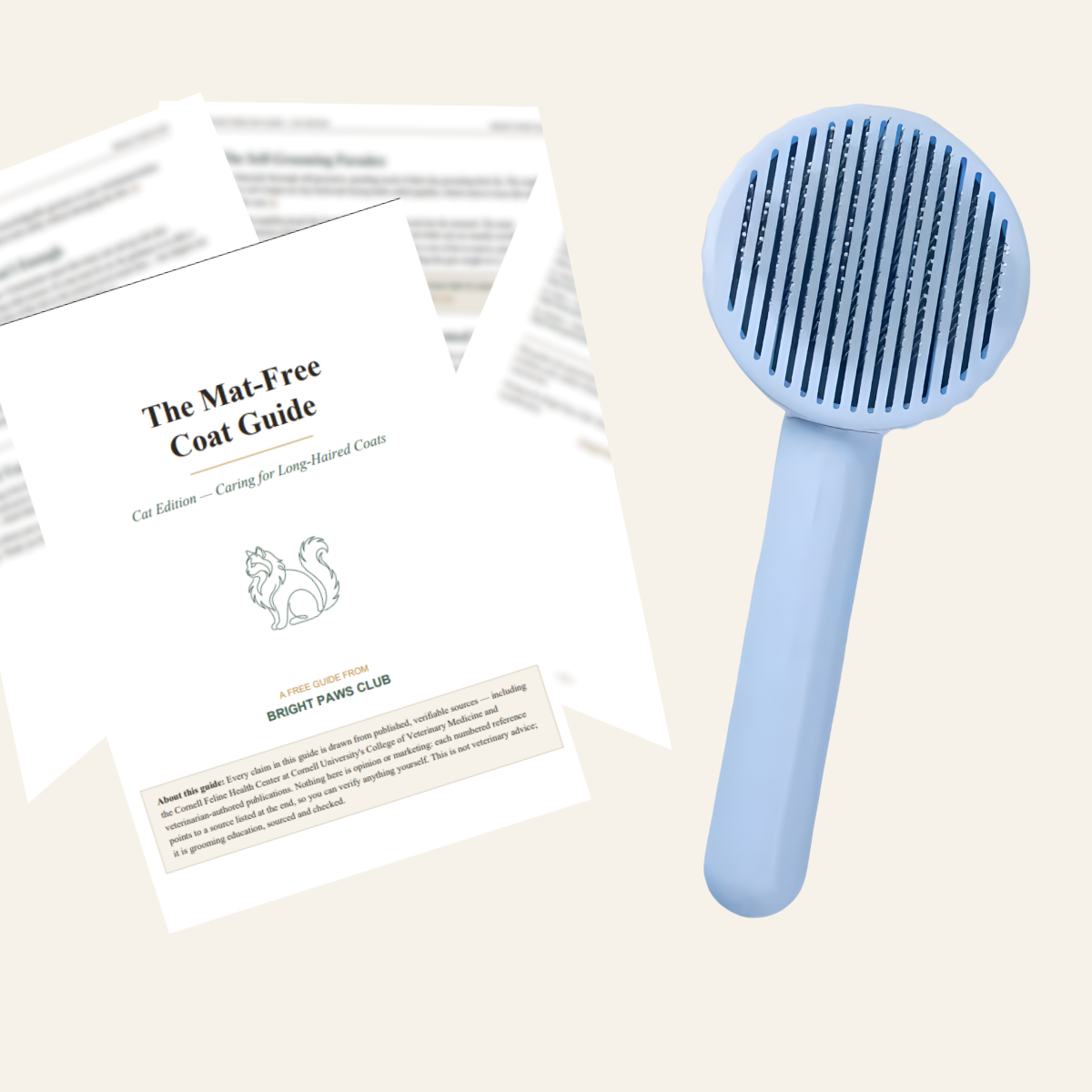 The Ragdoll Method — Brush + Checklist