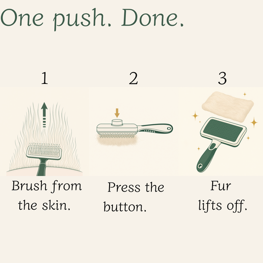 The Ragdoll Method — Brush + Checklist