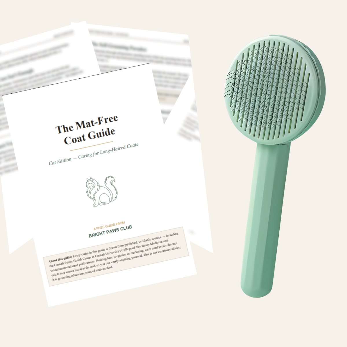 The Ragdoll Method — Brush + Checklist