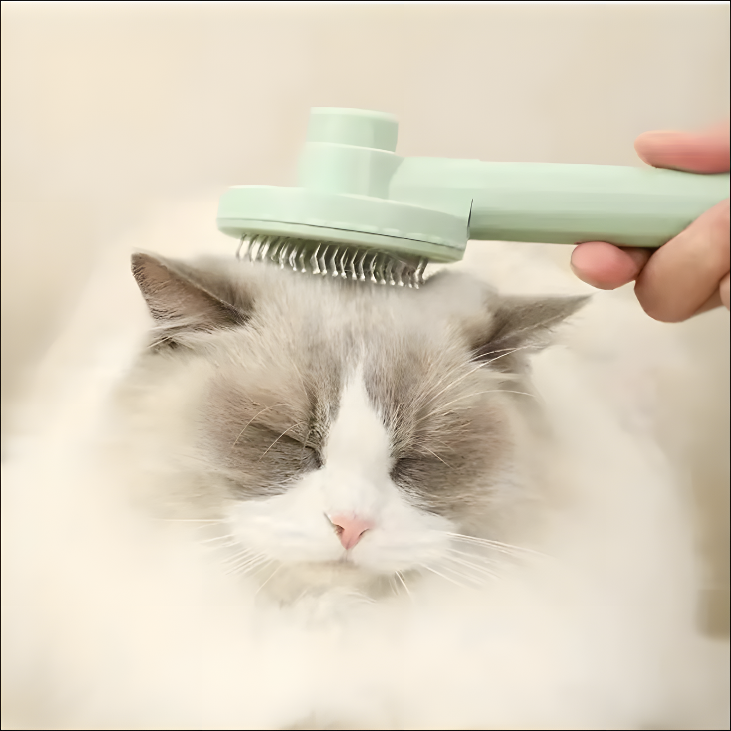 The Ragdoll Method — Brush + Checklist