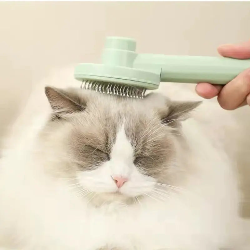 Green self cleaning slicker brush for cats